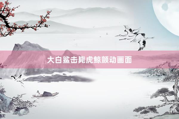 大白鲨击毙虎鲸颤动画面